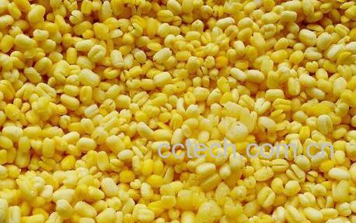 去皮绿豆可以做什么 去皮绿豆怎么煮糖水-0