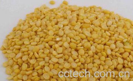 去皮绿豆可以做什么 去皮绿豆怎么煮糖水-1