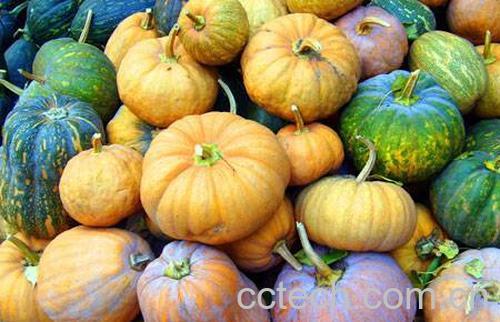 南瓜的营养价值-1