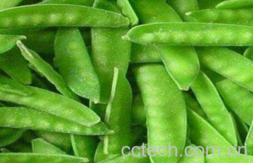 扁豆和荷兰豆的区别-1