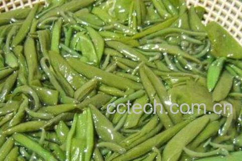 新鲜的莼菜怎么洗 新鲜的莼菜怎样保存-0