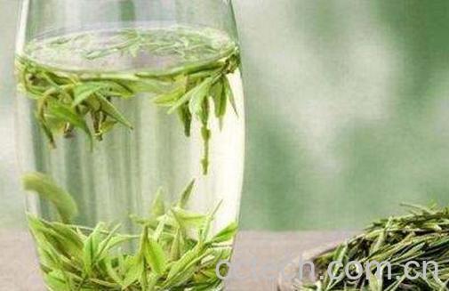 信阳毛尖如何泡 冲泡信阳毛尖的过程-0