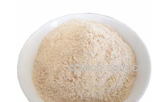  蒜香粉的作用和用途-1