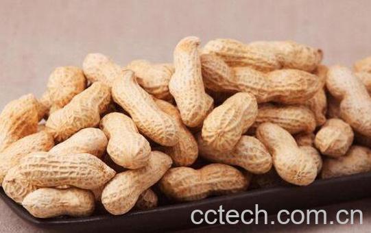 吃花生的好处有哪些 吃花生的坏处-1