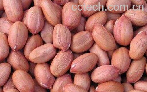 吃花生的好处有哪些 吃花生的坏处-0