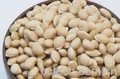 炒白扁豆作用和功效-1