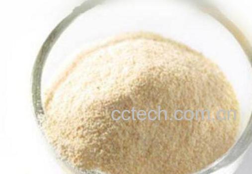 大蒜粉怎么用 大蒜粉的制作方法-0