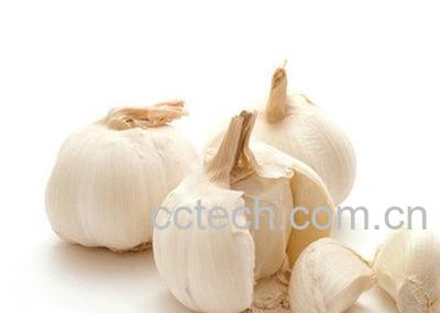 食用大蒜注意事项-1