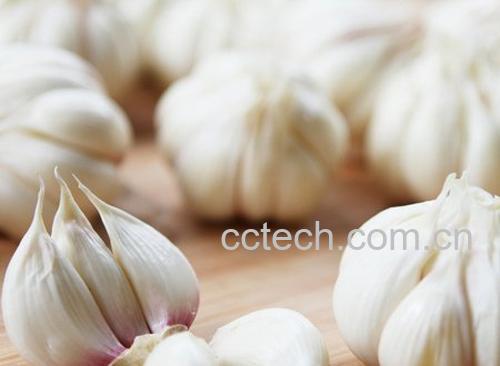 大蒜的功效与作用-0