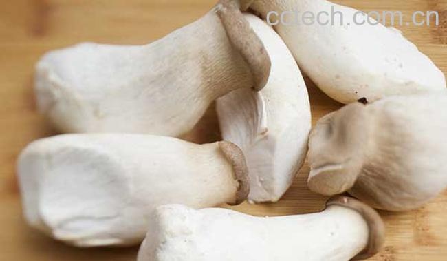 杏鲍菇的功效-0