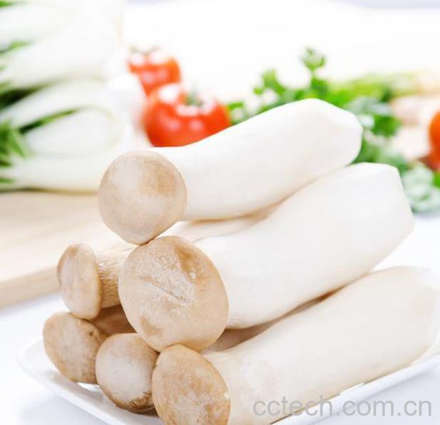 食用杏鲍菇注意事项-1