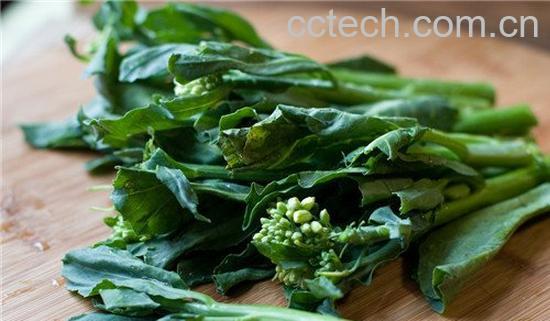 芥蓝的营养价值-1