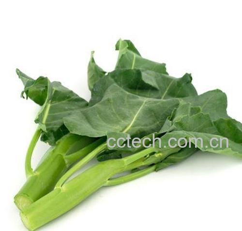 芥蓝功效与作用-0