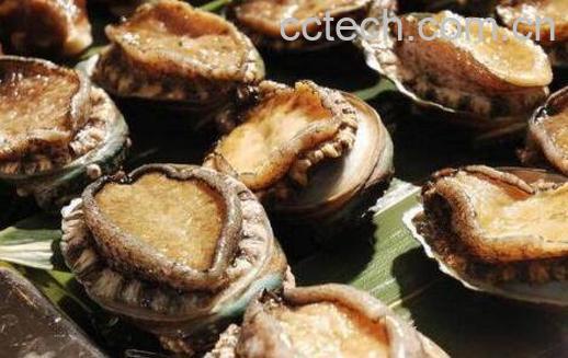 鲍鱼如何做好吃 做鲍鱼的具体步骤-1