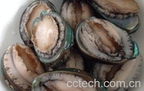 鲍鱼如何做好吃 做鲍鱼的具体步骤-0