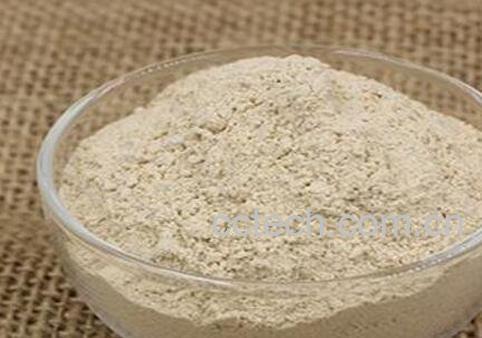 蒜香粉的使用说明 蒜香粉的功效与作用-1