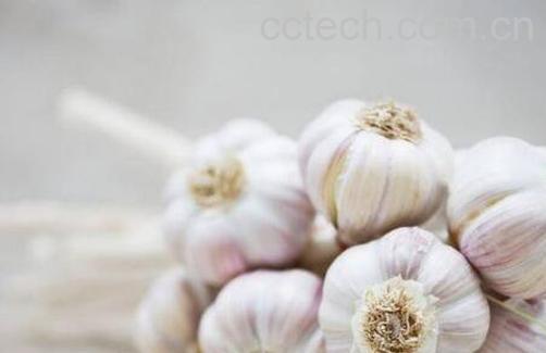 经常吃大蒜有什么好处 男人吃大蒜的好处-0