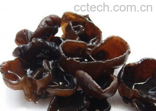 木耳食用注意事项-1