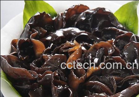 木耳的功效与作用-0