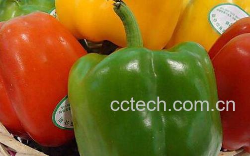 灯笼椒怎么炒 灯笼椒怎么泡-0