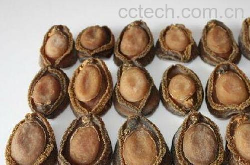 煮熟鲍鱼怎么保存 煮熟鲍鱼保存方法-1