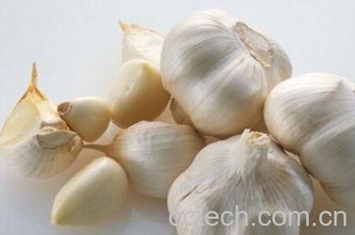 大蒜的营养价值及功效-0