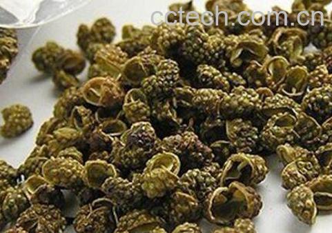 麻椒油怎么做最麻 如何激发麻椒的麻味儿-1