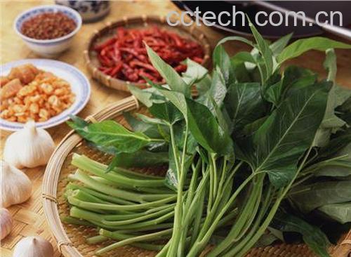 空心菜食用禁忌-1