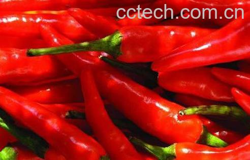  红辣椒的功效与作用-1