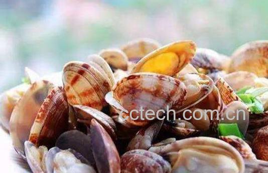 蛤蜊怎么洗 如何洗蛤蜊才能洗干净-0