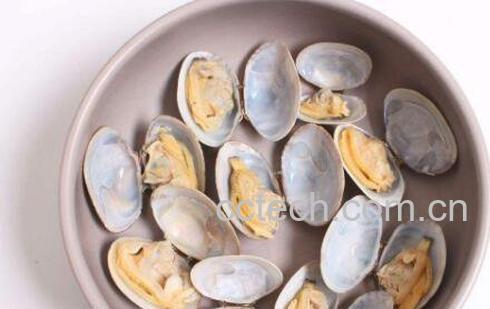 蛤蜊怎么洗 如何洗蛤蜊才能洗干净-1