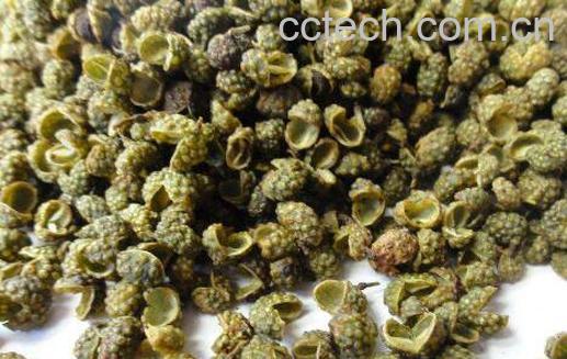 麻椒的功效与作用 麻椒怎么做最麻-0