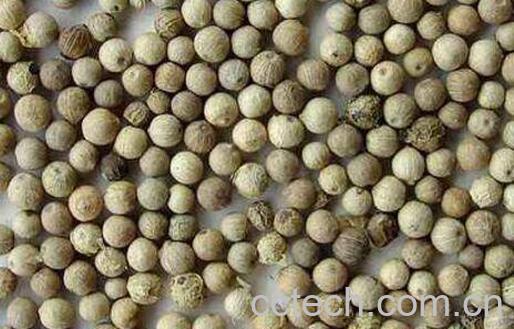 白胡椒的功效与作用-0