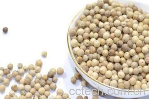 白胡椒的功效与作用-1