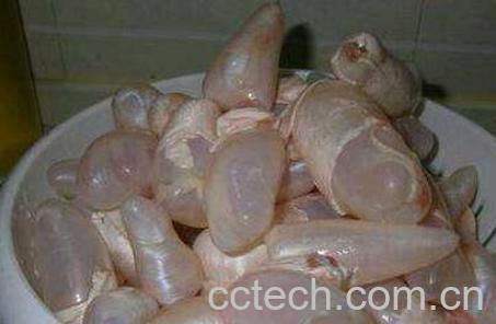 鱼泡有什么营养和功效-0