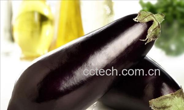 茄子的功效与作用-0