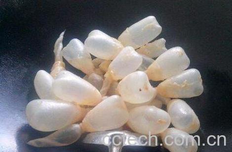 鱼泡有什么营养和功效-1