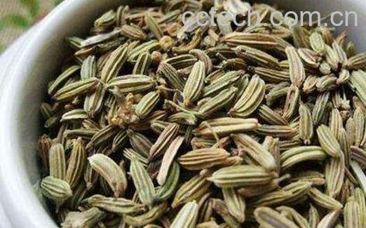 大茴香和小茴香的区别 大茴香的功效-1