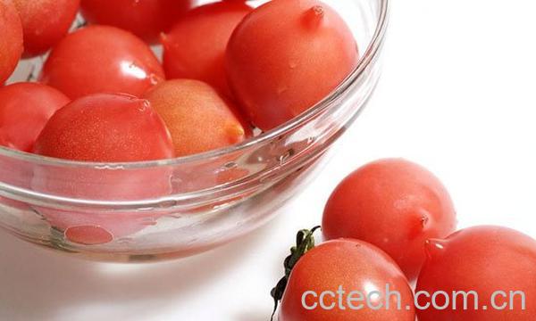 吃西红柿注意事项-1