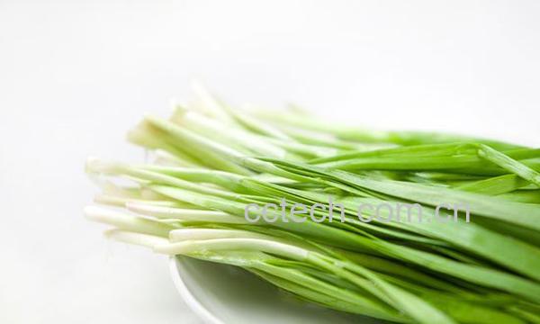 韭菜功效-0