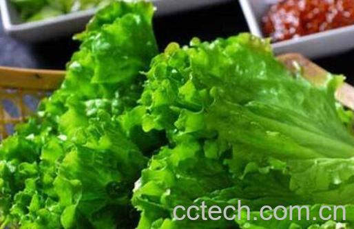 生菜的功效与作用-0