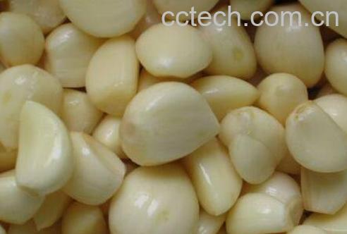 什么人不能吃大蒜 吃大蒜的禁忌-0