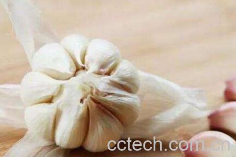 什么人不能吃大蒜 吃大蒜的禁忌-1