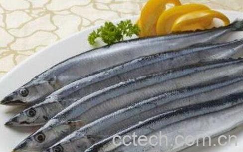 刀鱼的营养价值及功效-1