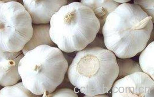 吃大蒜的好处和坏处 吃大蒜的禁忌-1