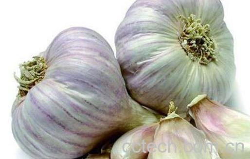 吃大蒜的好处和坏处 吃大蒜的禁忌-0