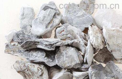 煅牡蛎的功效与作用及禁忌-1