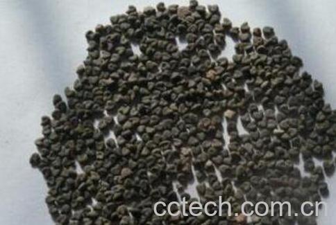 白花菜子的功效与作用及药用价值-1