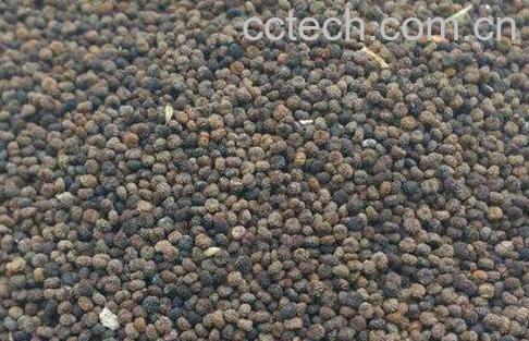 白花菜子的功效与作用及药用价值-0