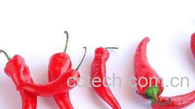 指天椒的功效-0